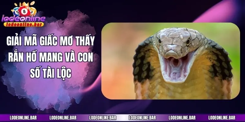 Giải mã giấc mơ thấy rắn hổ mang và con số tài lộc