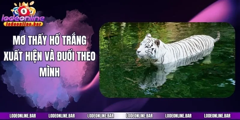 Mơ thấy hổ trắng xuất hiện và đuổi theo mình