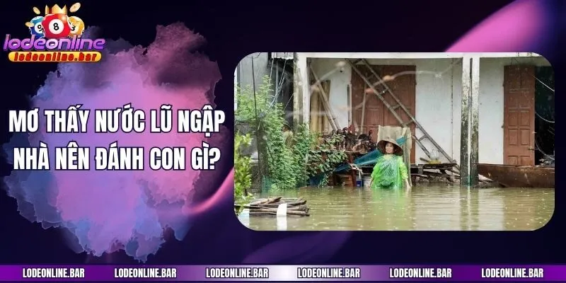 Mơ thấy nước lũ ngập nhà nên đánh con gì?